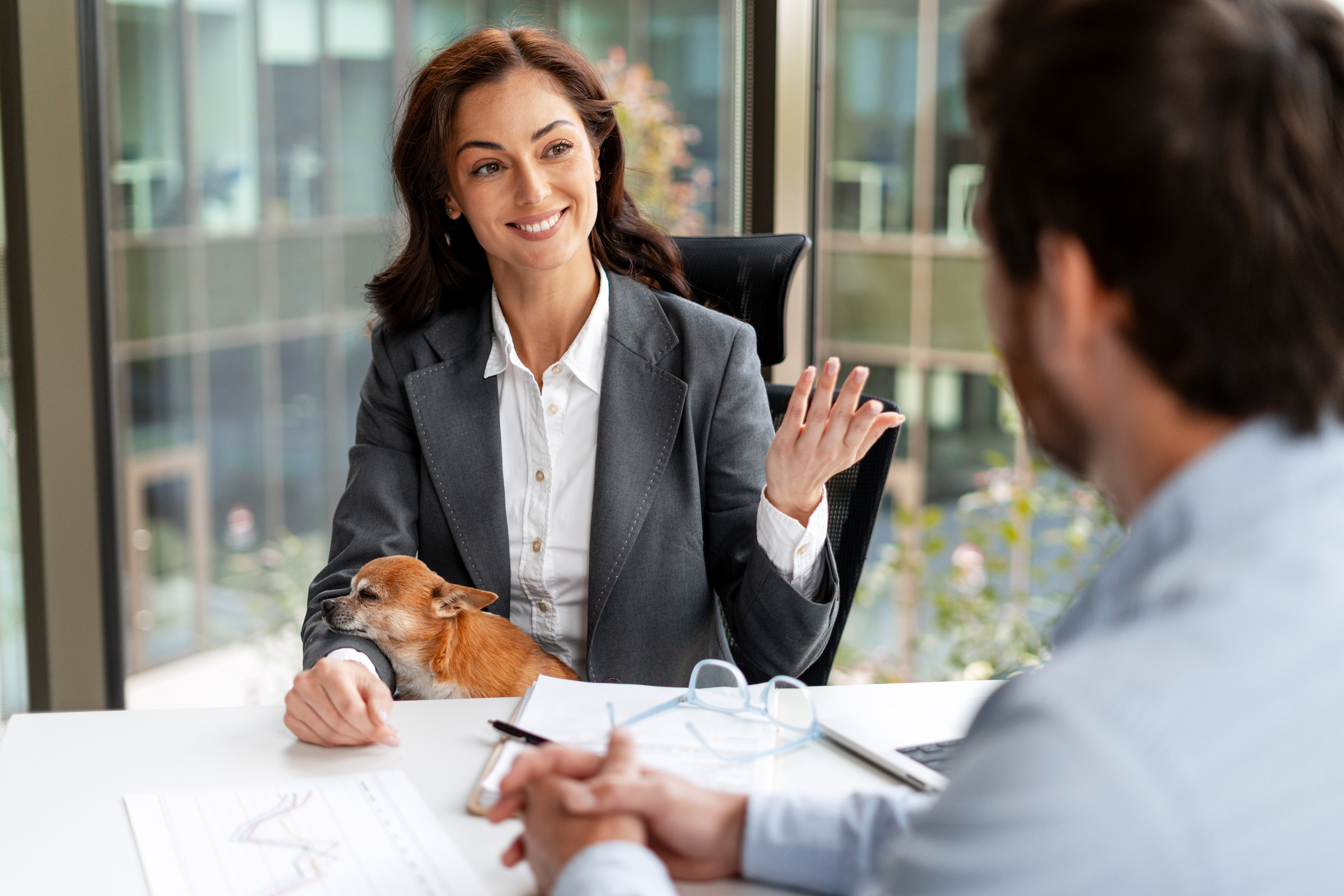 Pet food market surge: Scaling sales in a growing sector